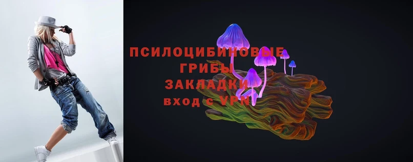 наркотики  Лесосибирск  Псилоцибиновые грибы MAGIC MUSHROOMS 